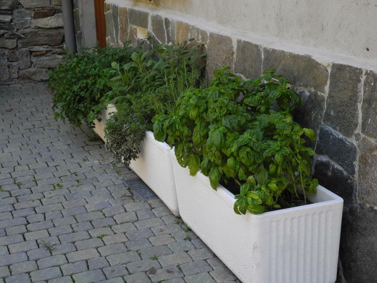 Agriturismo Piccolo Paradiso Pianello Del Lario Екстер'єр фото