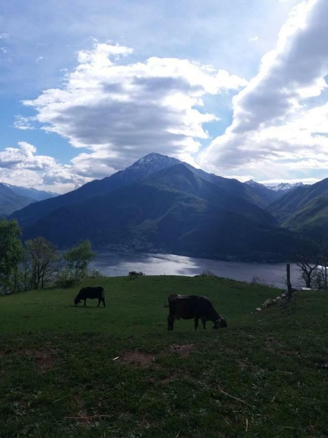 Agriturismo Piccolo Paradiso Pianello Del Lario Екстер'єр фото