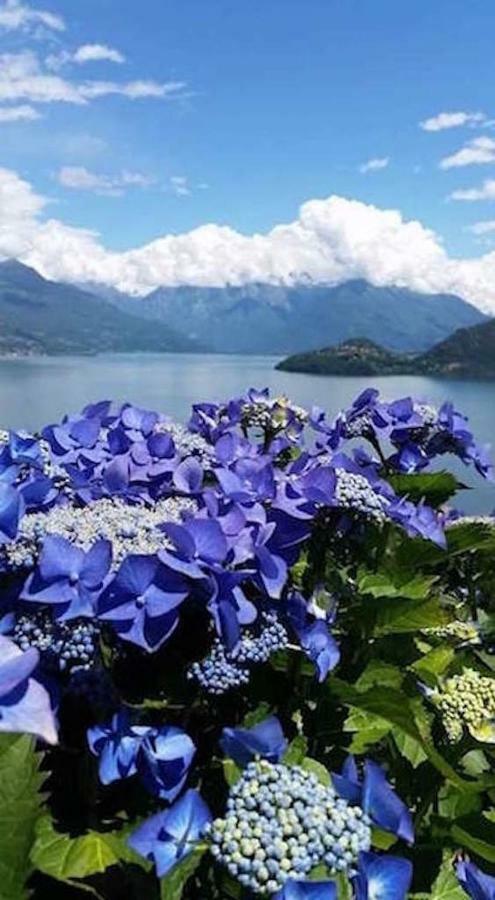 Agriturismo Piccolo Paradiso Pianello Del Lario Екстер'єр фото