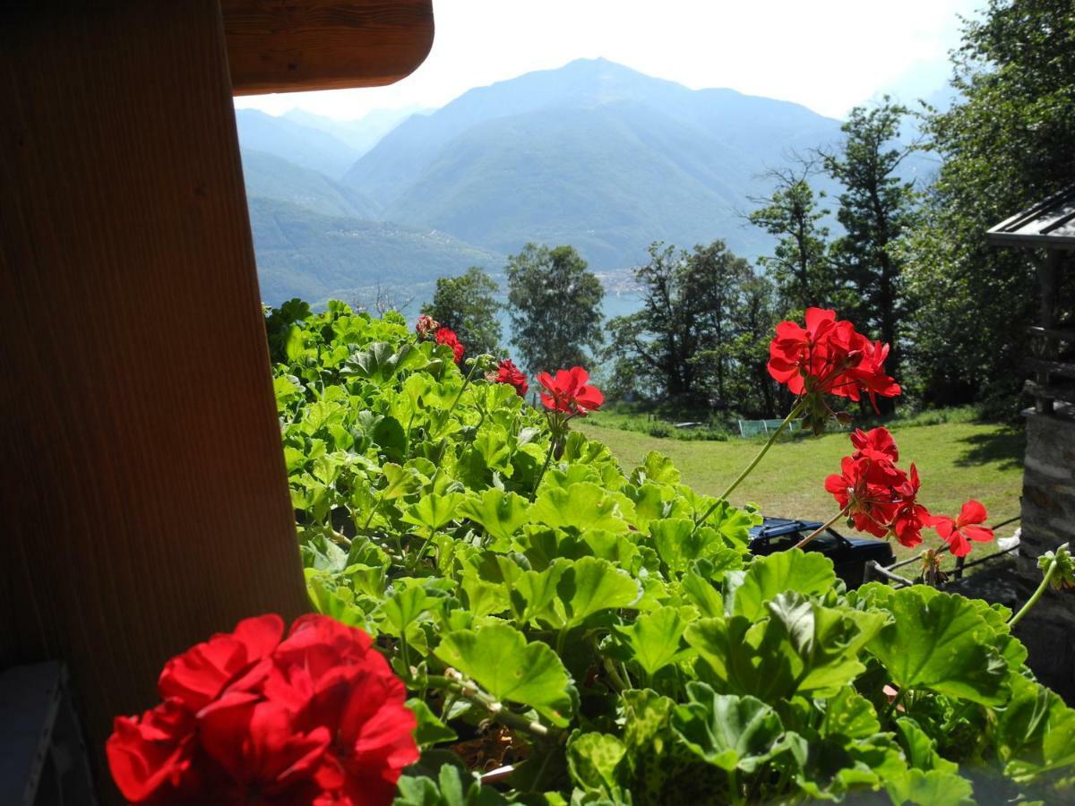 Agriturismo Piccolo Paradiso Pianello Del Lario Екстер'єр фото