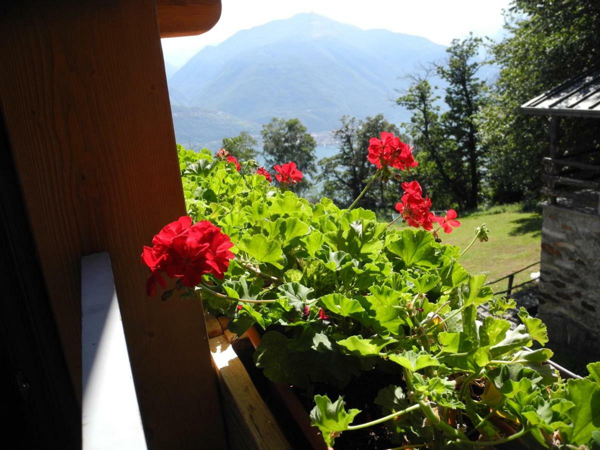 Agriturismo Piccolo Paradiso Pianello Del Lario Екстер'єр фото