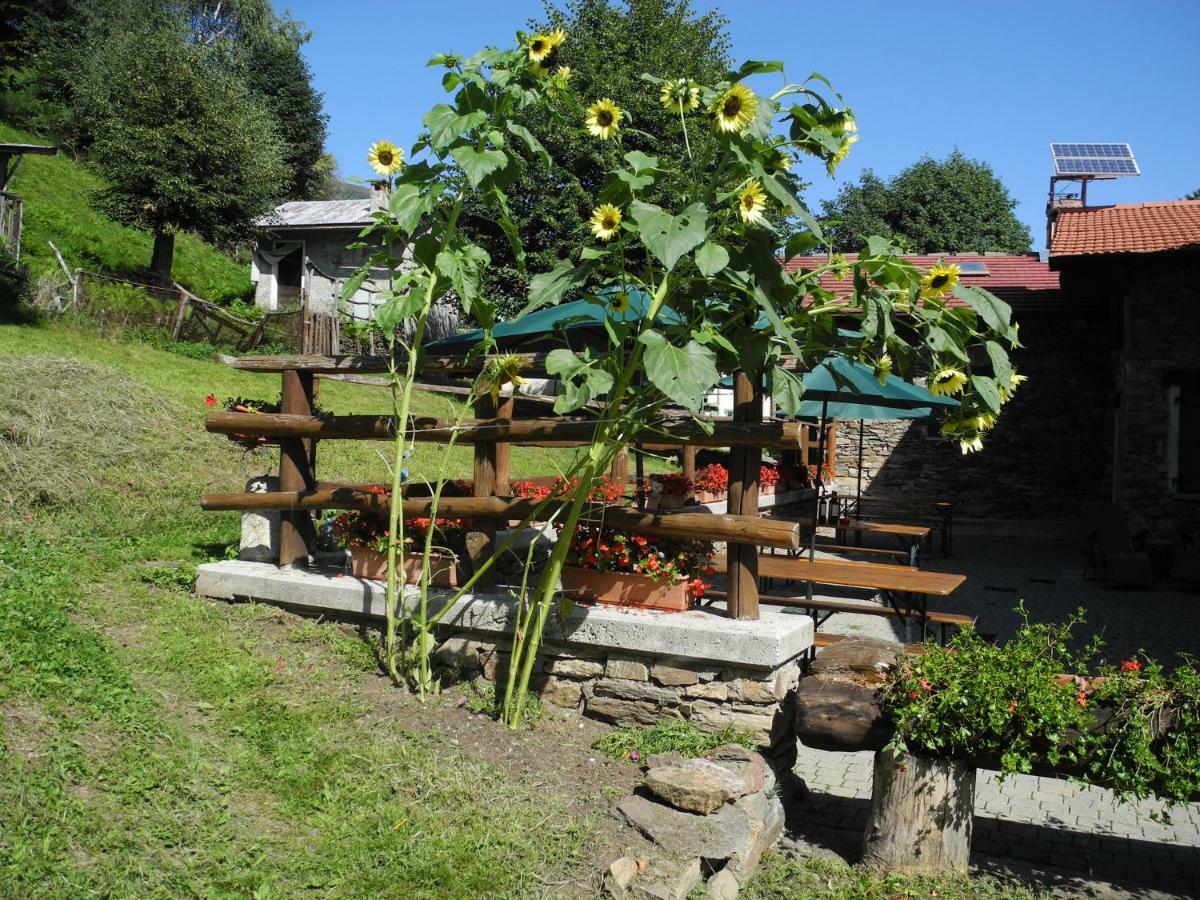 Agriturismo Piccolo Paradiso Pianello Del Lario Екстер'єр фото